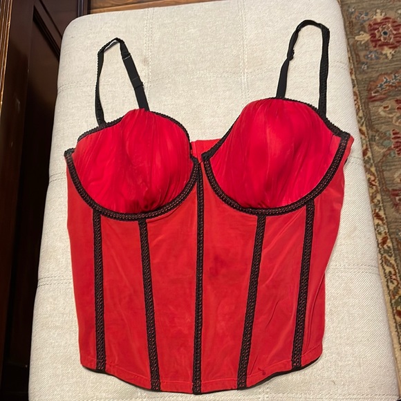 Gorgeous corset worn once, EUC This girl needs to have some FUN! - Picture 2 of 11